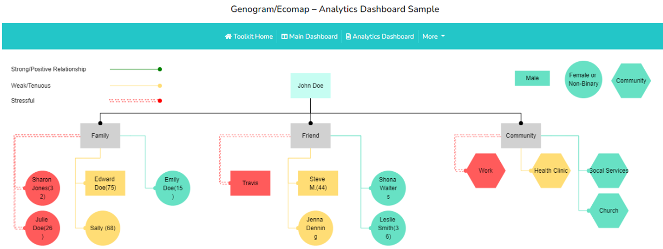 Genogram Ecomap Dashboard Sample