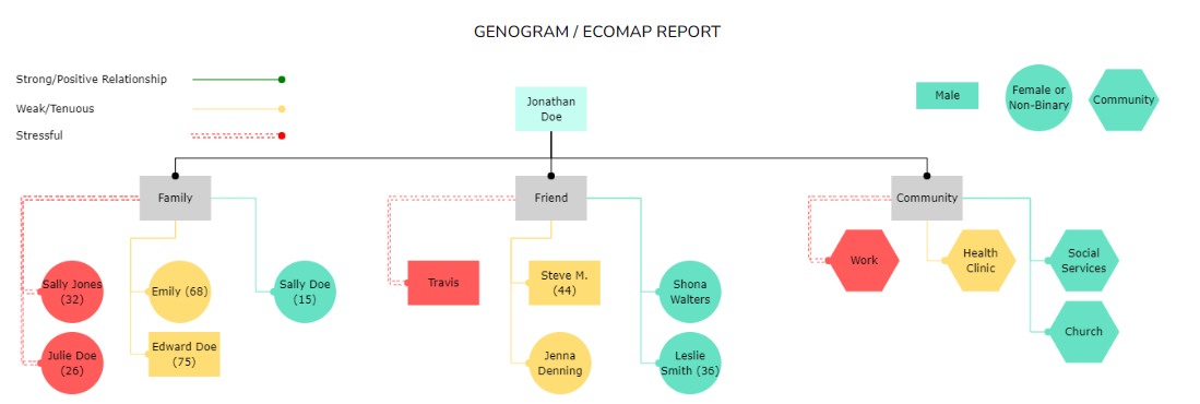 ags genogram chart