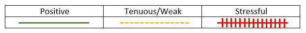 ecomap social work example lines