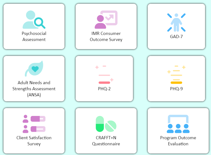 Social Work Assessment Software