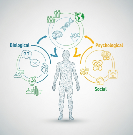 What is the biopsychosocial model