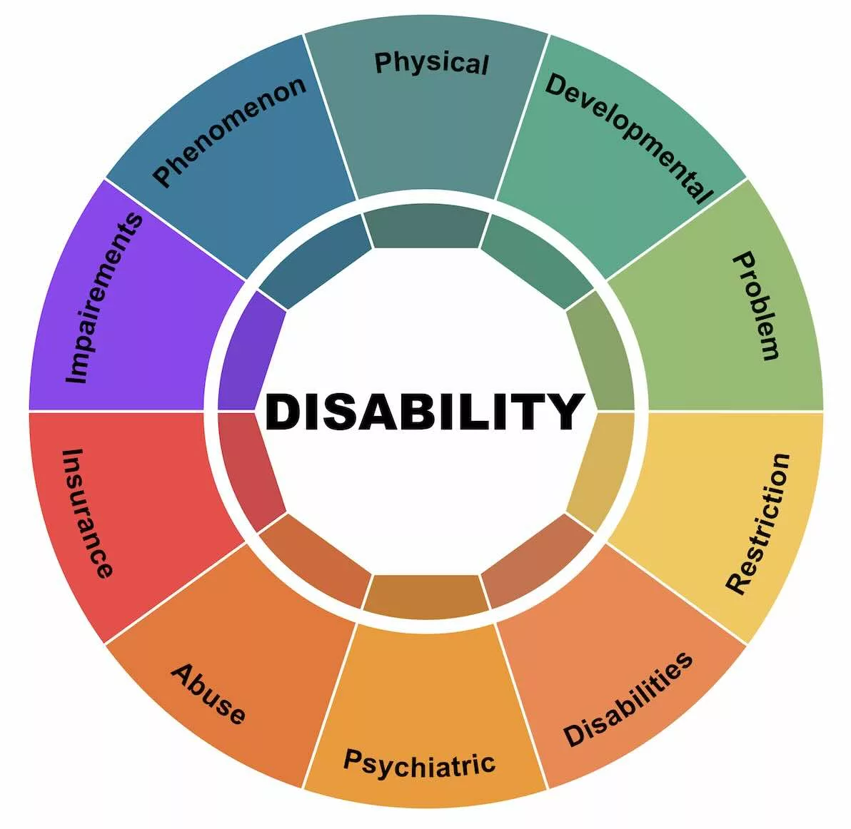 social work with persons with disabilities